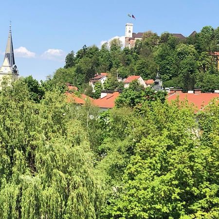 Castle View Studio Любляна Экстерьер фото